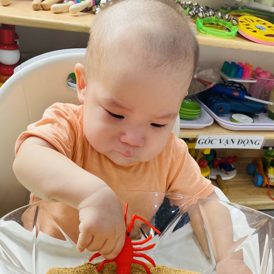 Bé lớp Baby ngồi ghế, đưa tay chạm con tôm đồ chơi trong khay cát